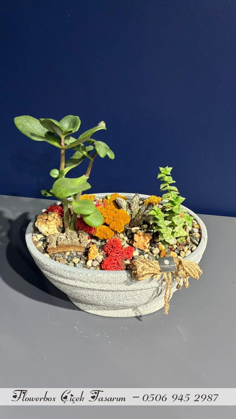 Seramik Saksı İçerisinde Terarrium Aranjmanları 