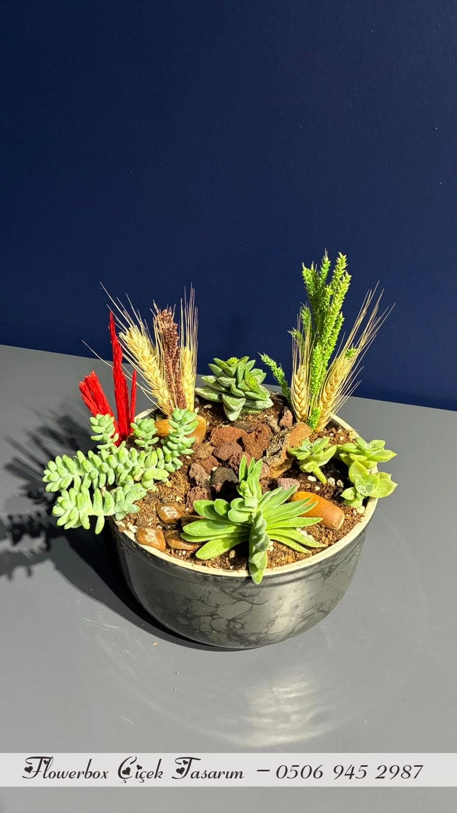 Seramik Saksı İçerisinde Terarrium Aranjmanları 