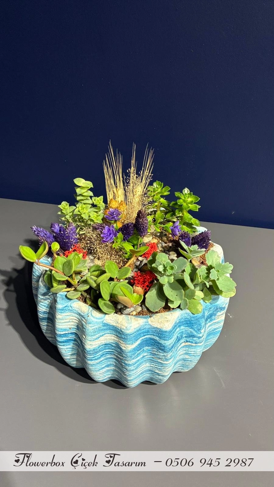 Seramik Saksı İçerisinde Terarrium Aranjmanları 