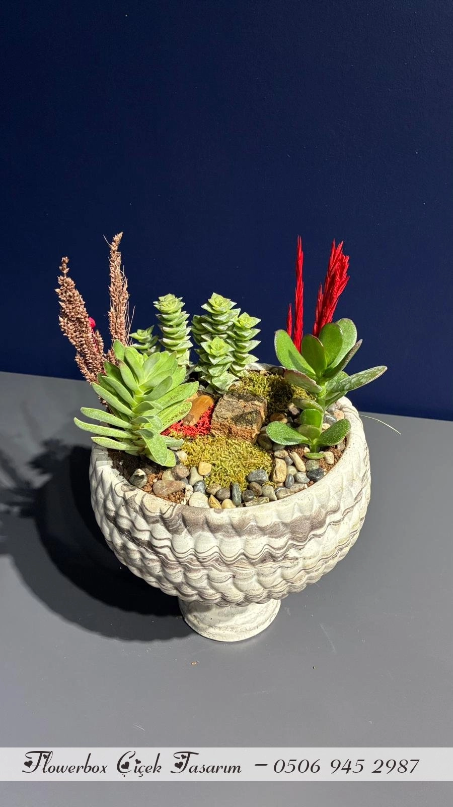 Seramik Saksı İçerisinde Terarrium Aranjmanları 
