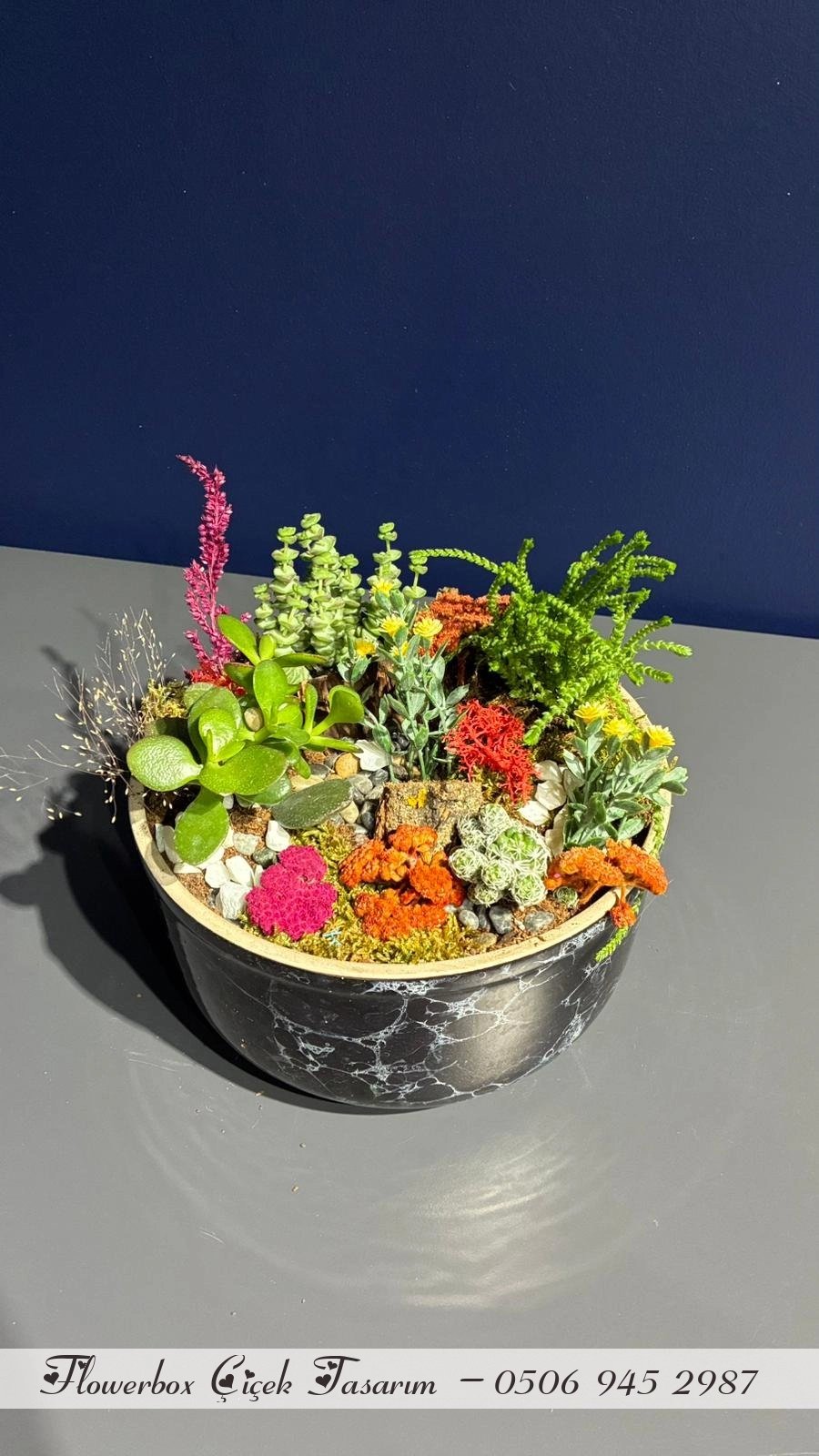 Seramik Saksı İçerisinde Terarrium Aranjmanları 