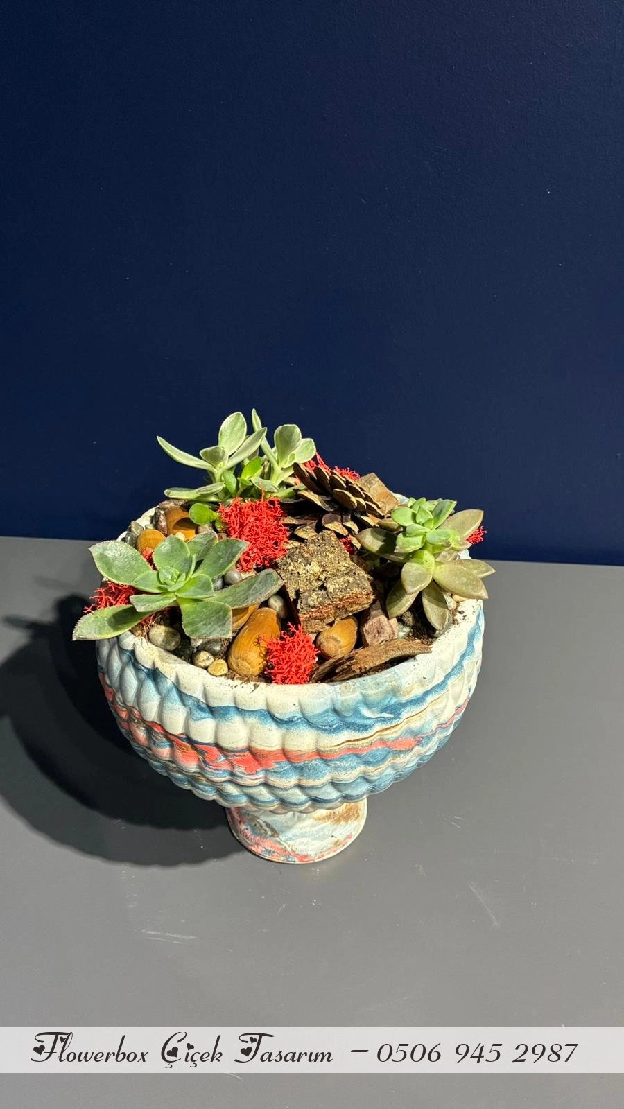 Seramik Saksı İçerisinde Terarrium Aranjmanları 