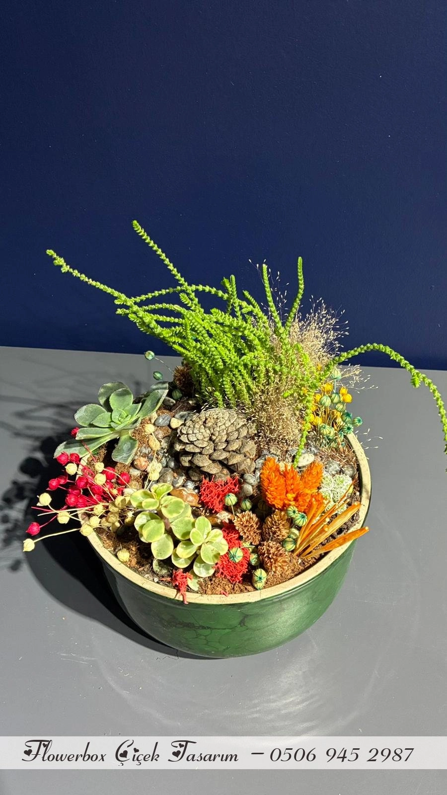 Seramik Saksı İçerisinde Terarrium Aranjmanları 