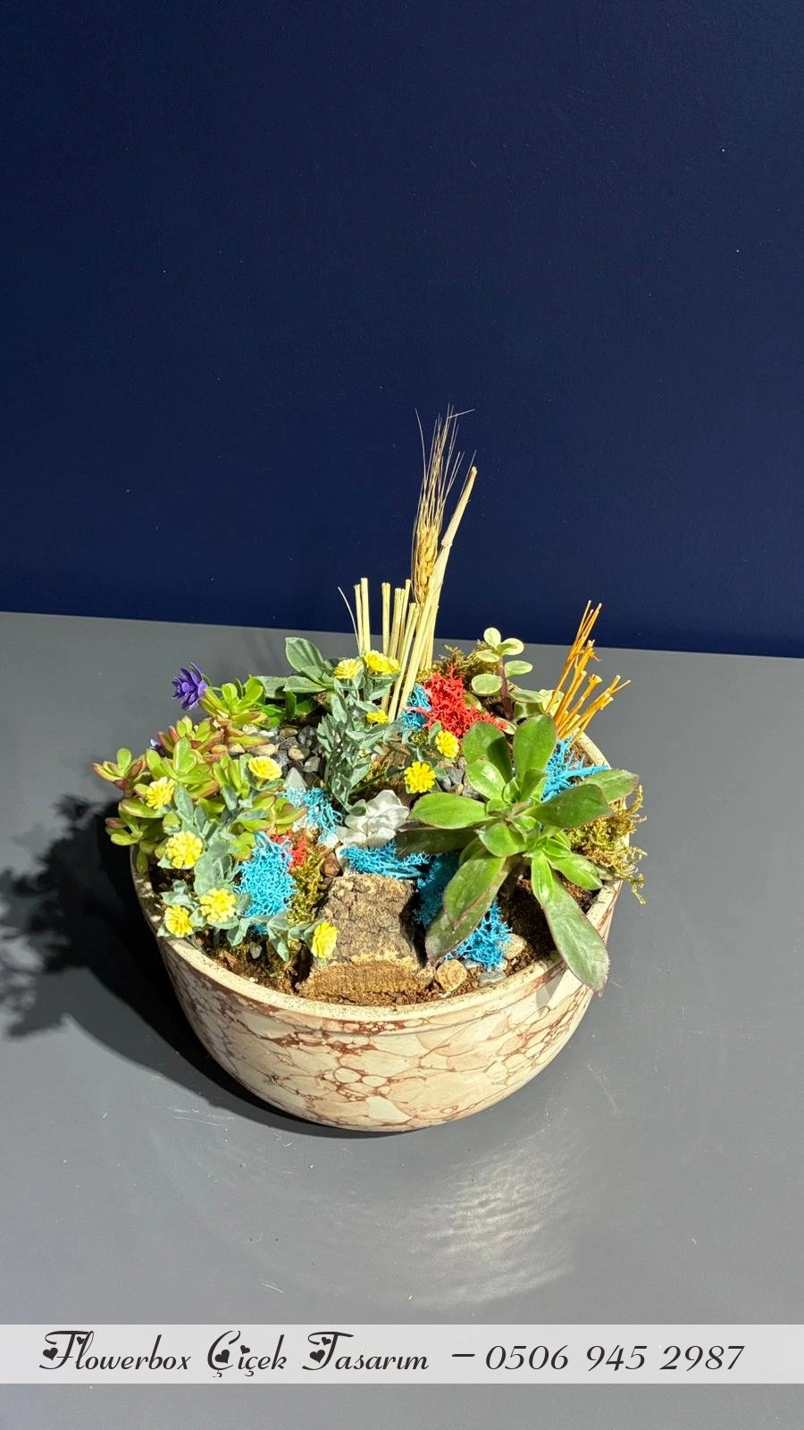 Seramik Saksı İçerisinde Terarrium Aranjmanları 