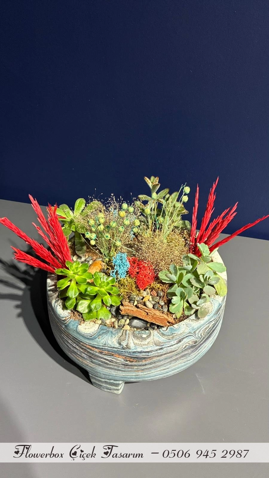 Seramik Saksı İçerisinde Terarrium Aranjmanları 