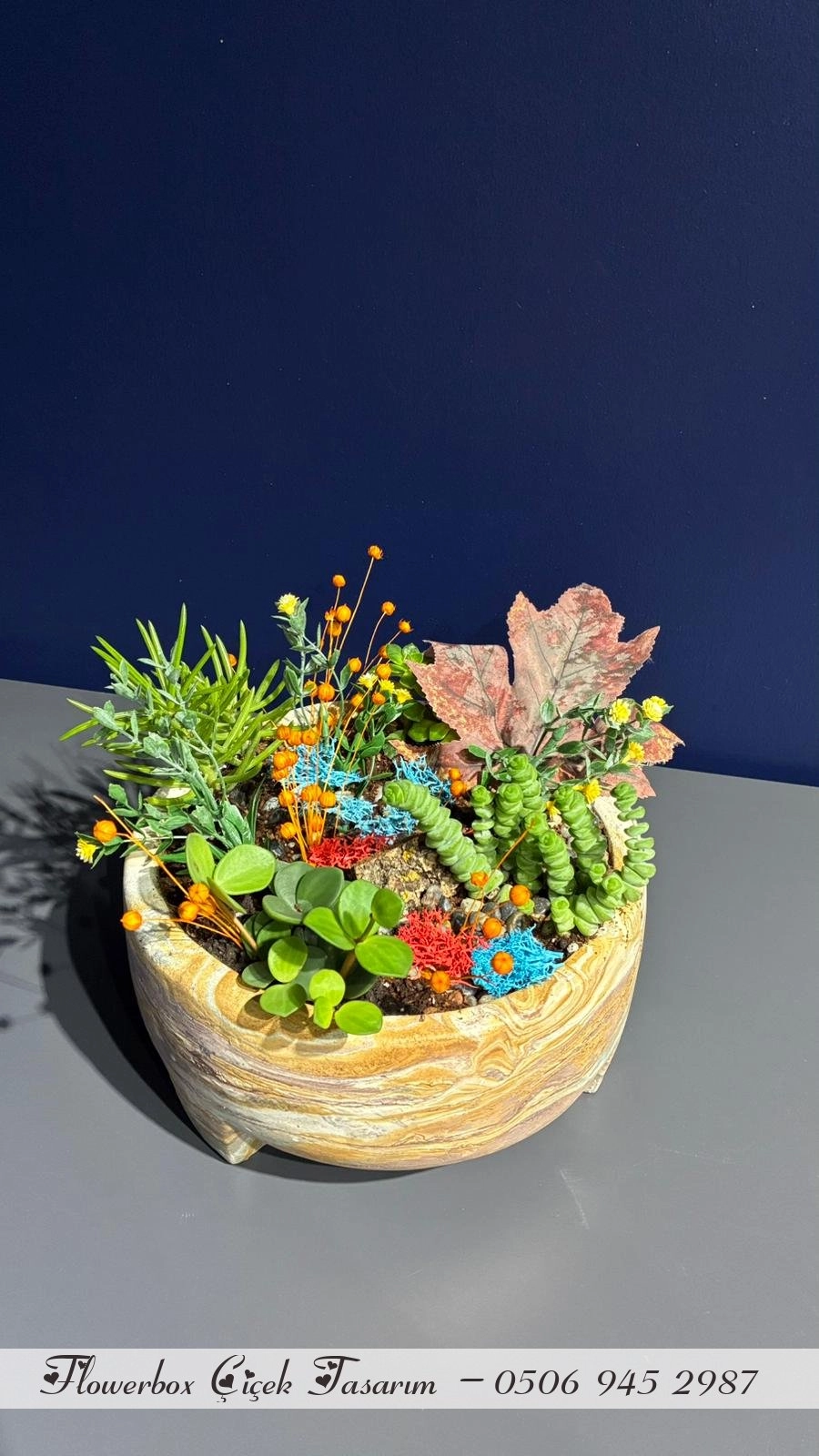 Seramik Saksı İçerisinde Terarrium Aranjmanları 