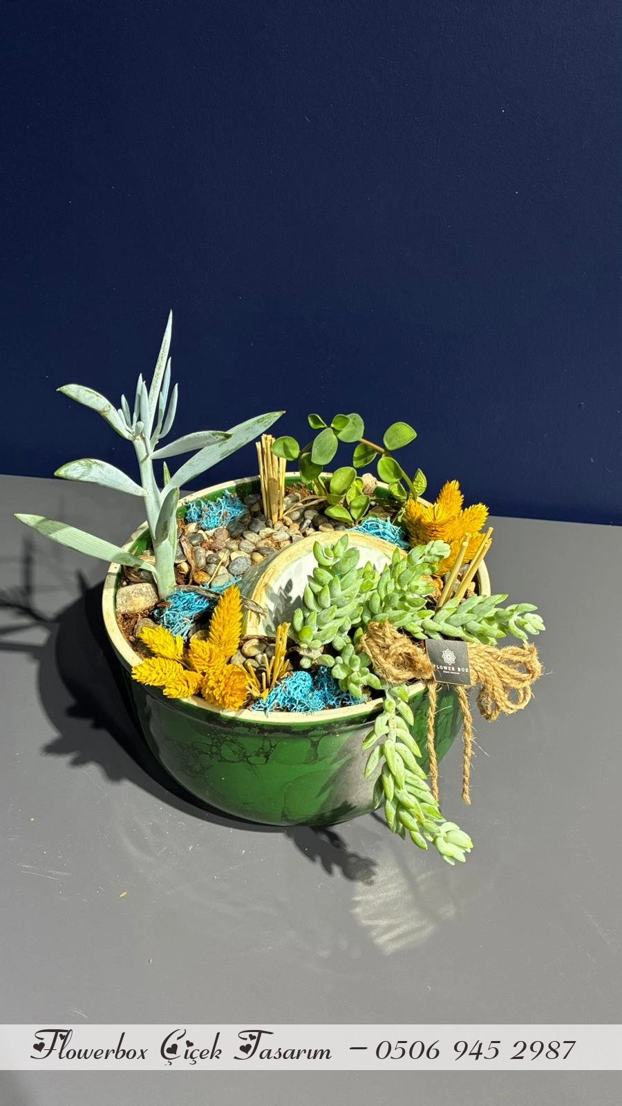 Seramik Saksı İçerisinde Terarrium Aranjmanları 