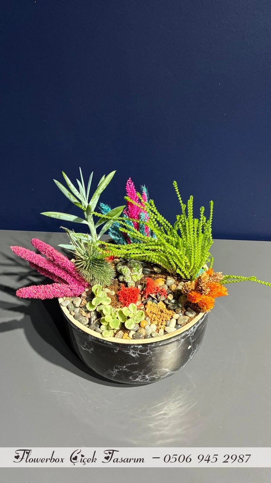 Seramik Saksı İçerisinde Terarrium Aranjmanları 