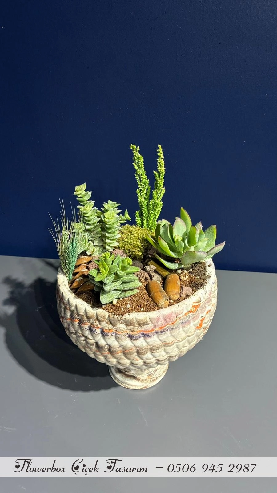 Seramik Saksı İçerisinde Terarrium Aranjmanları 