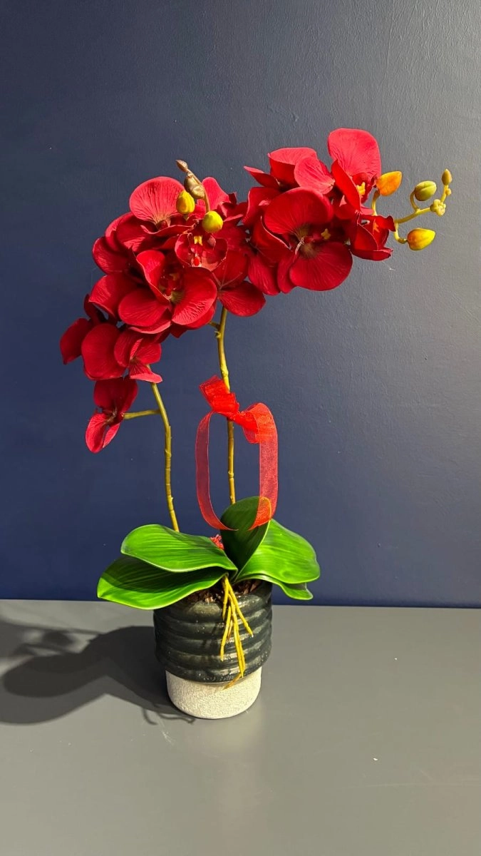 Kırmızı Yapay Çift Dallı Orkide