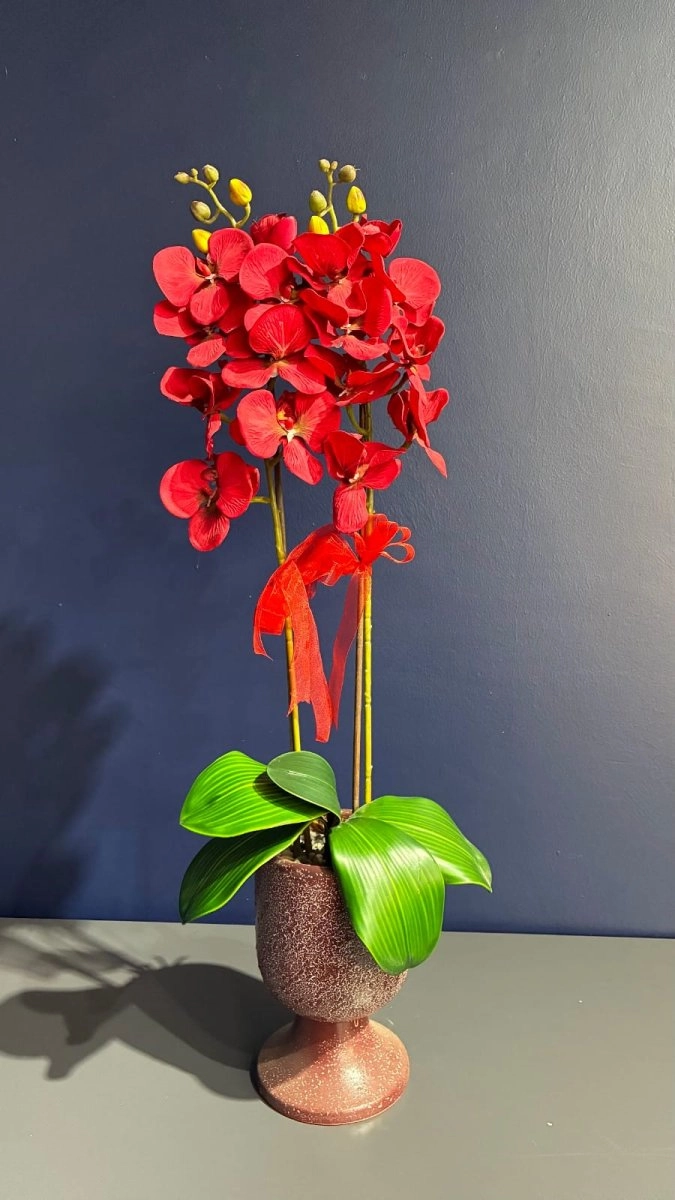 Kırmızı Yapay Çift Dallı Orkide