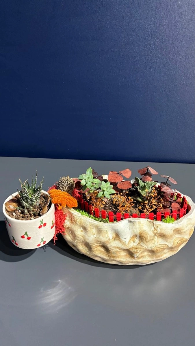 Seramik Saksı Içerisinde Hazırlanmış Teraryum ( Fincanlı )