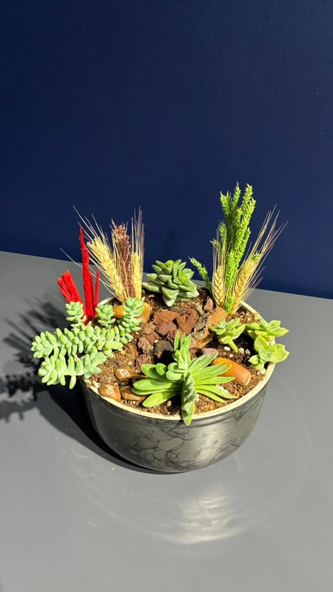 Seramik Saksı İçerisinde Terarrium Aranjmanları 