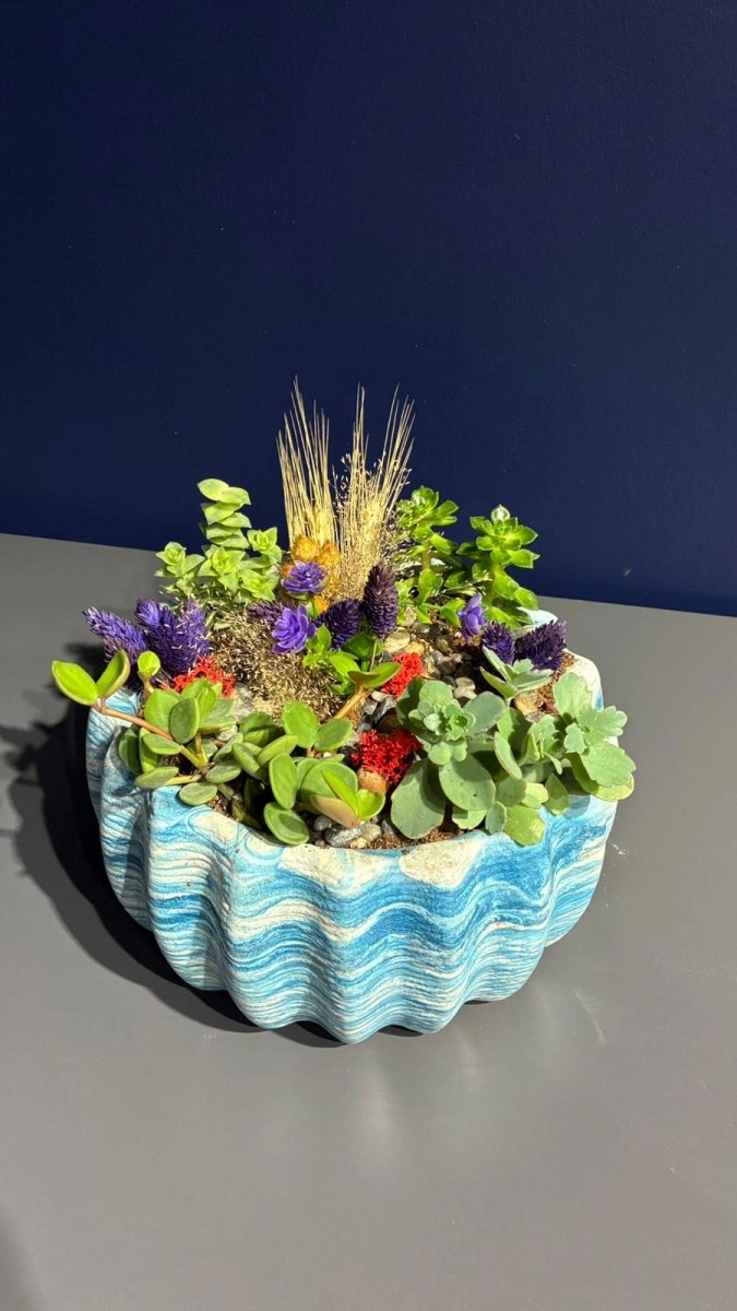 Seramik Saksı İçerisinde Terarrium Aranjmanları 