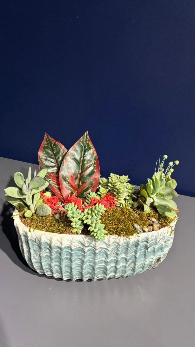 Seramik Saksı İçerisinde Terarrium Aranjmanları 