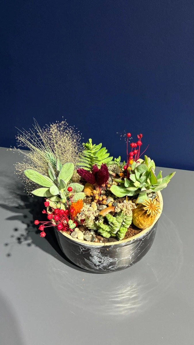 Seramik Saksı İçerisinde Terarrium Aranjmanları 