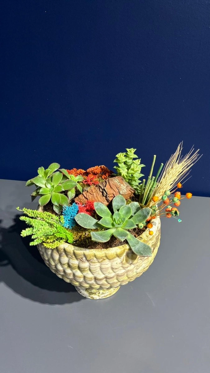 Seramik Saksı İçerisinde Terarrium Aranjmanları 