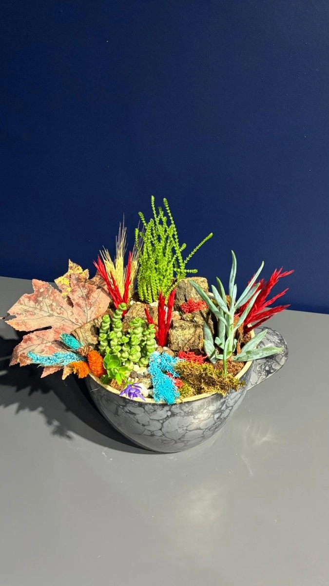 Seramik Saksı İçerisinde Terarrium Aranjmanları 