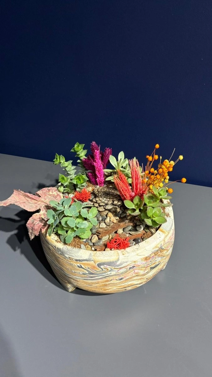 Seramik Saksı İçerisinde Terarrium Aranjmanları 