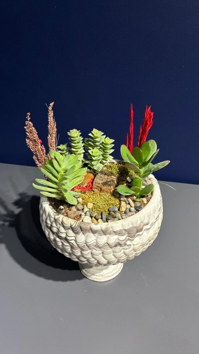 Seramik Saksı İçerisinde Terarrium Aranjmanları 