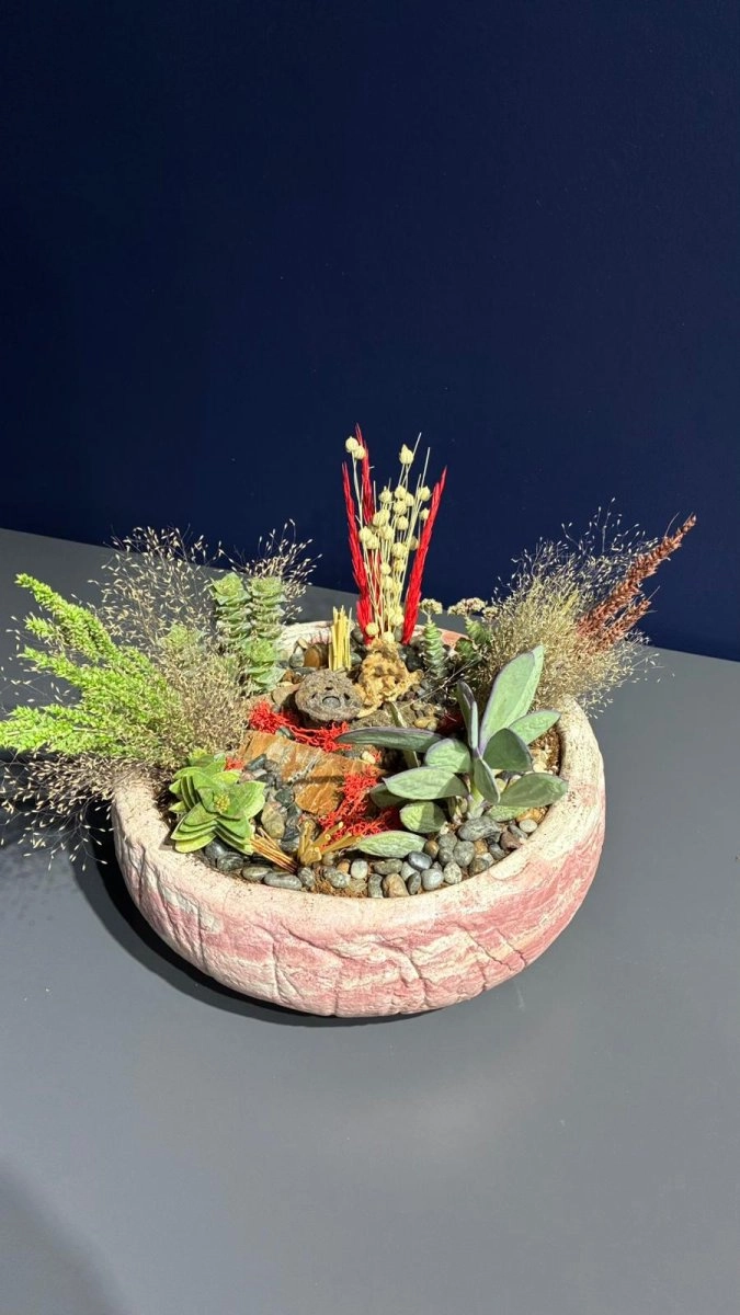 Seramik Saksı İçerisinde Terarrium Aranjmanları 