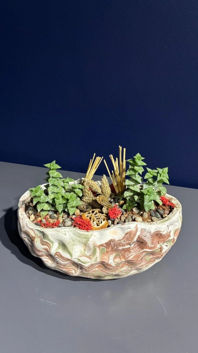 Seramik Saksı İçerisinde Terarrium Aranjmanları 