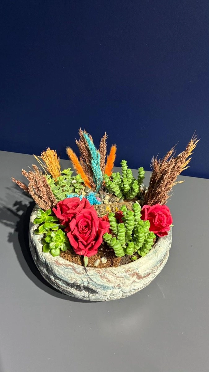 Seramik Saksı İçerisinde Terarrium Aranjmanları 