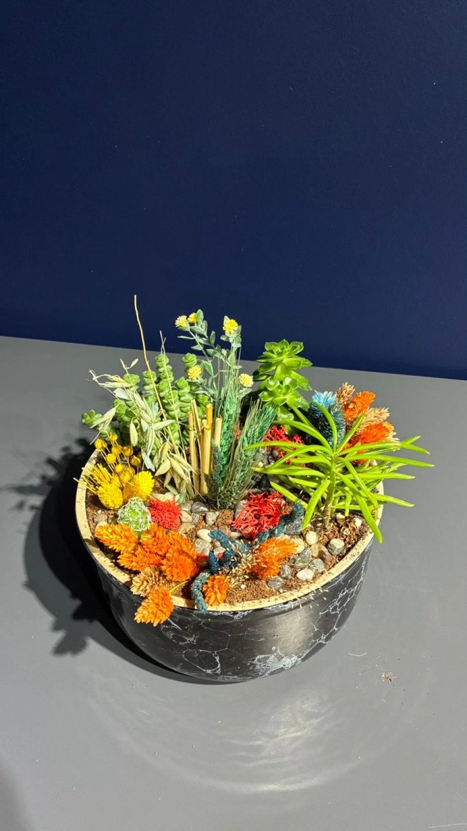 Seramik Saksı İçerisinde Terarrium Aranjmanları 