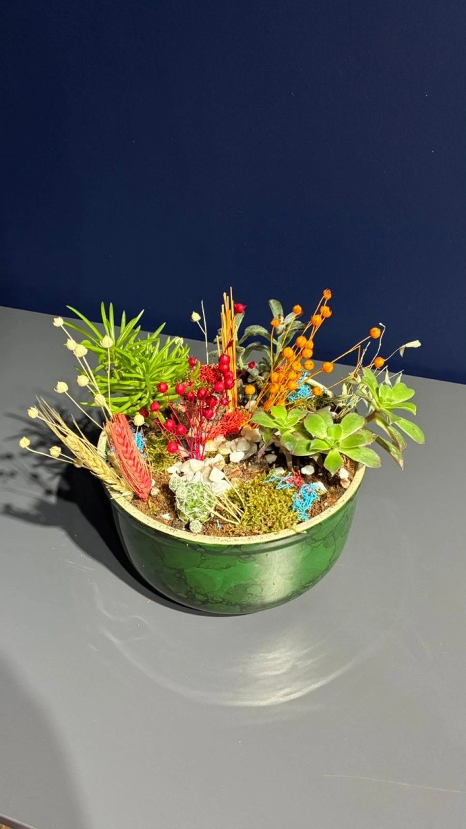 Seramik Saksı İçerisinde Terarrium Aranjmanları 