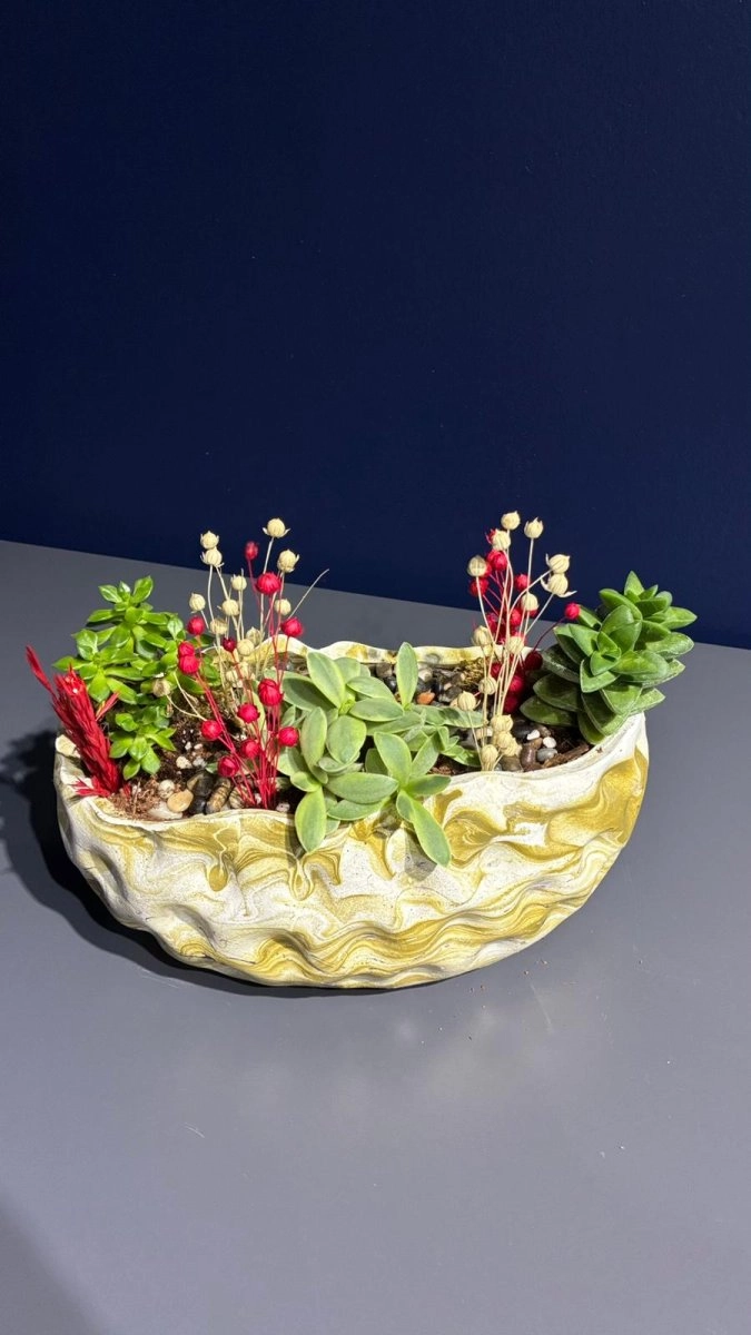 Seramik Saksı İçerisinde Terarrium Aranjmanları 