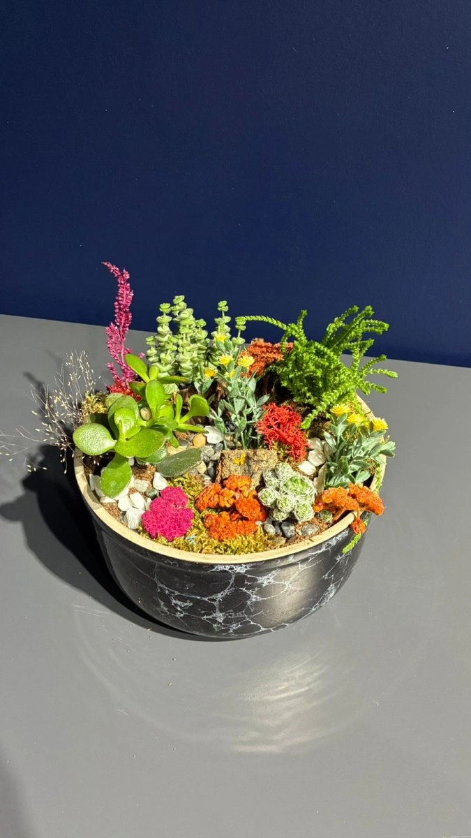 Seramik Saksı İçerisinde Terarrium Aranjmanları 
