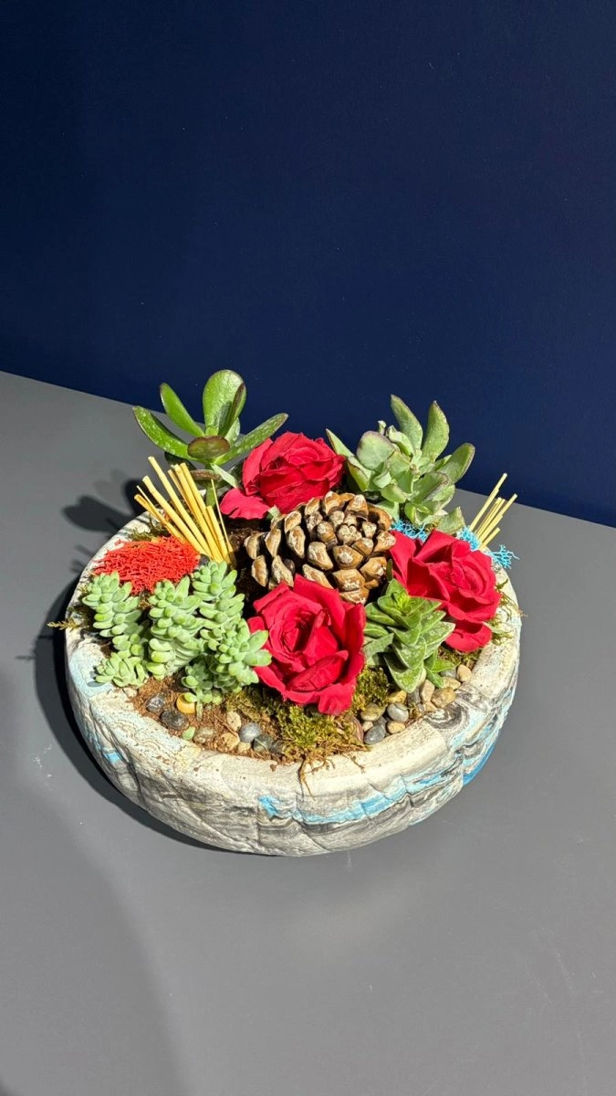 Seramik Saksı İçerisinde Terarrium Aranjmanları 