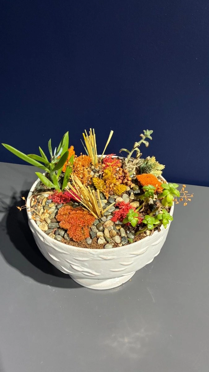 Seramik Saksı İçerisinde Terarrium Aranjmanları 