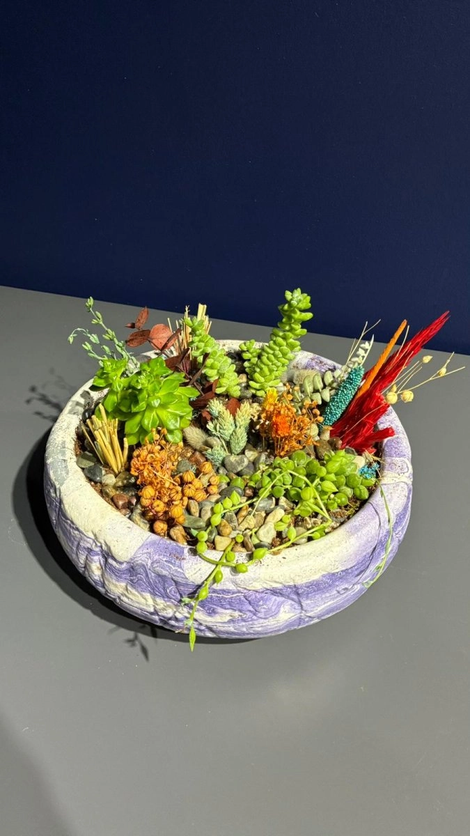 Seramik Saksı İçerisinde Terarrium Aranjmanları 