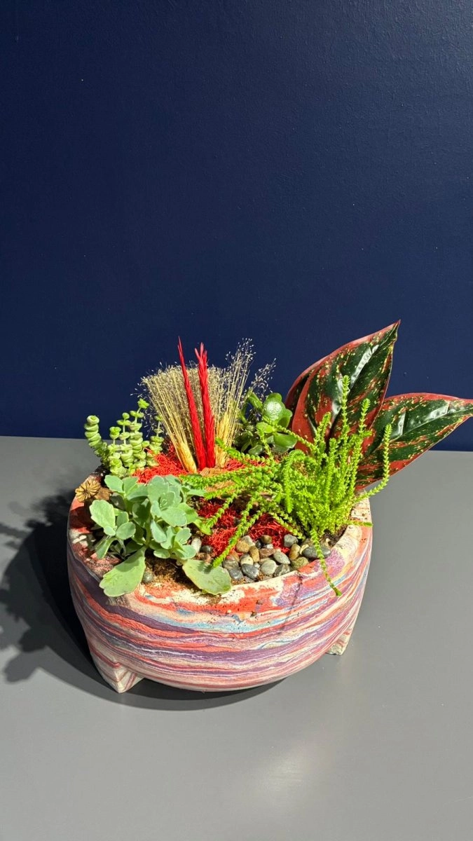 Seramik Saksı İçerisinde Terarrium Aranjmanları 
