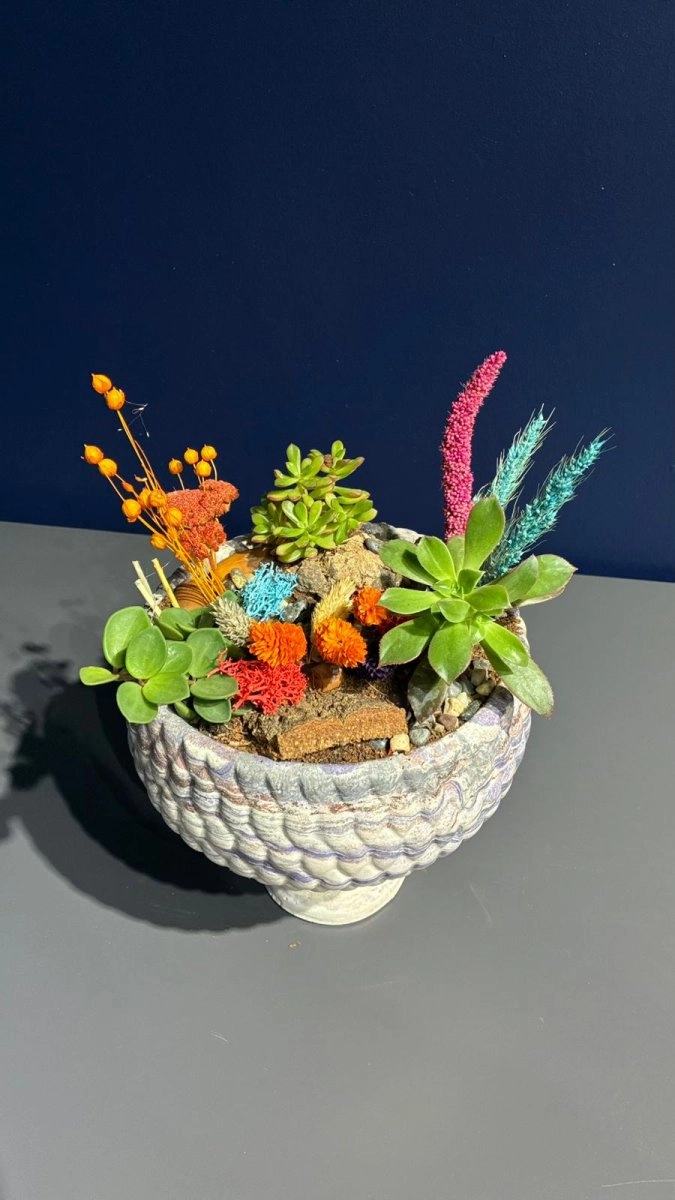 Seramik Saksı İçerisinde Terarrium Aranjmanları 