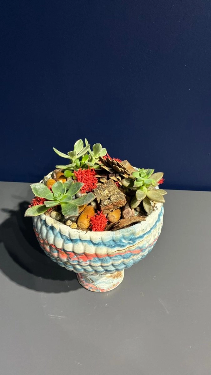 Seramik Saksı İçerisinde Terarrium Aranjmanları 