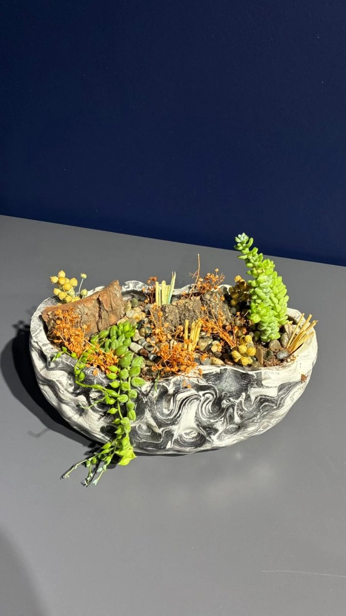 Seramik Saksı İçerisinde Terarrium Aranjmanları 