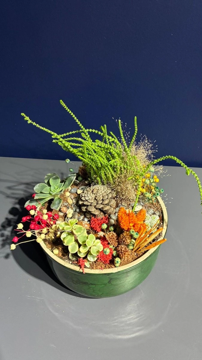 Seramik Saksı İçerisinde Terarrium Aranjmanları 