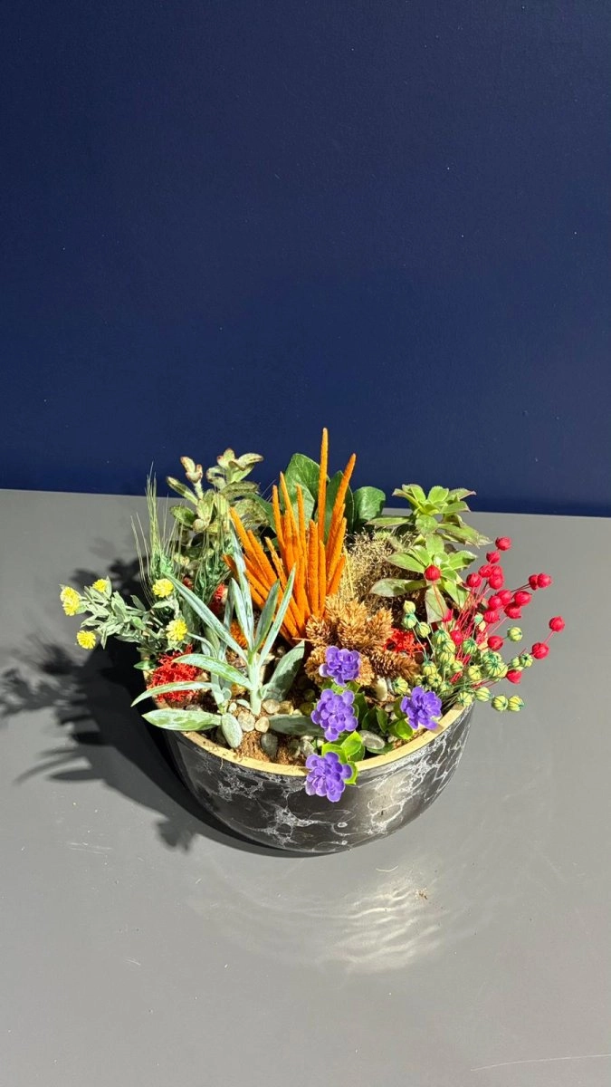 Seramik Saksı İçerisinde Terarrium Aranjmanları 