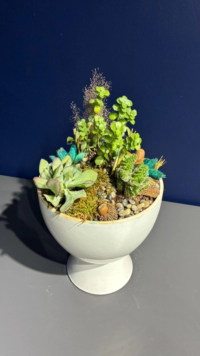 Seramik Saksı İçerisinde Terarrium Aranjmanları 