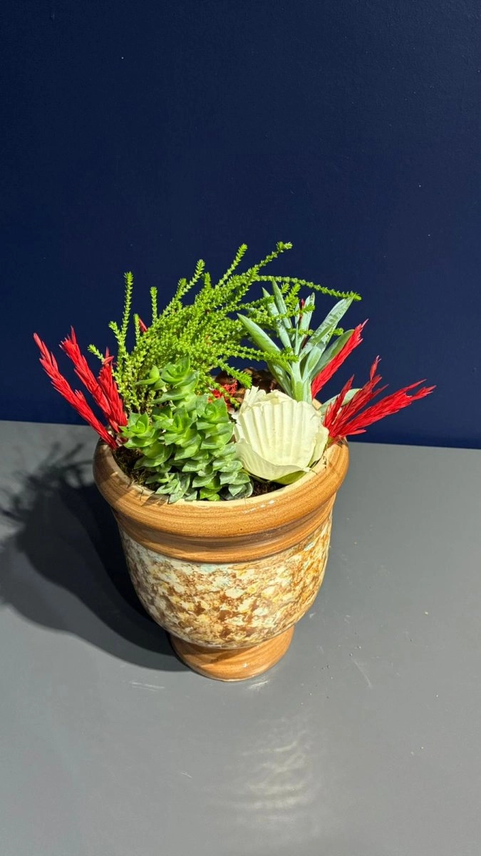 Seramik Saksı İçerisinde Terarrium Aranjmanları 