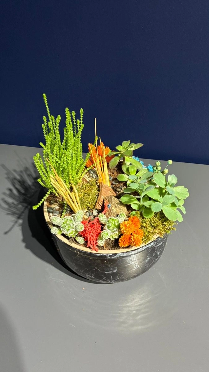 Seramik Saksı İçerisinde Terarrium Aranjmanları 