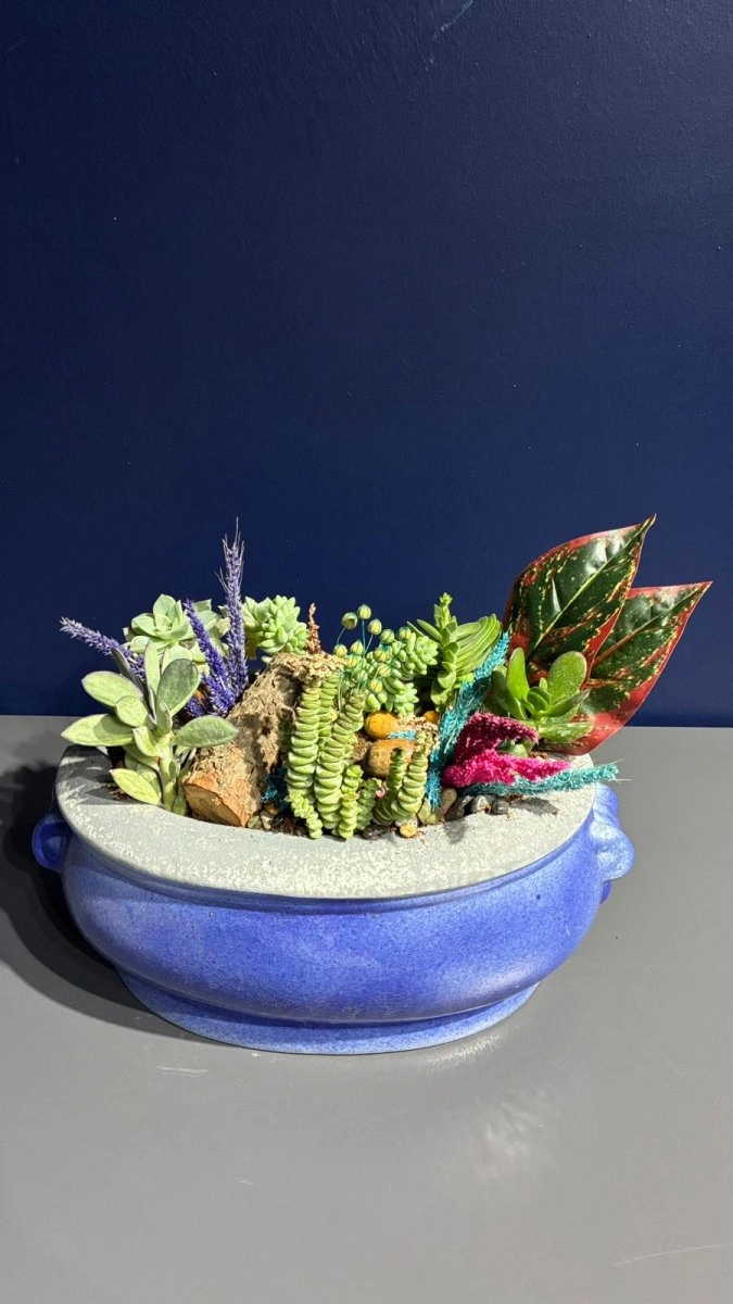 Seramik Saksı İçerisinde Terarrium Aranjmanları 