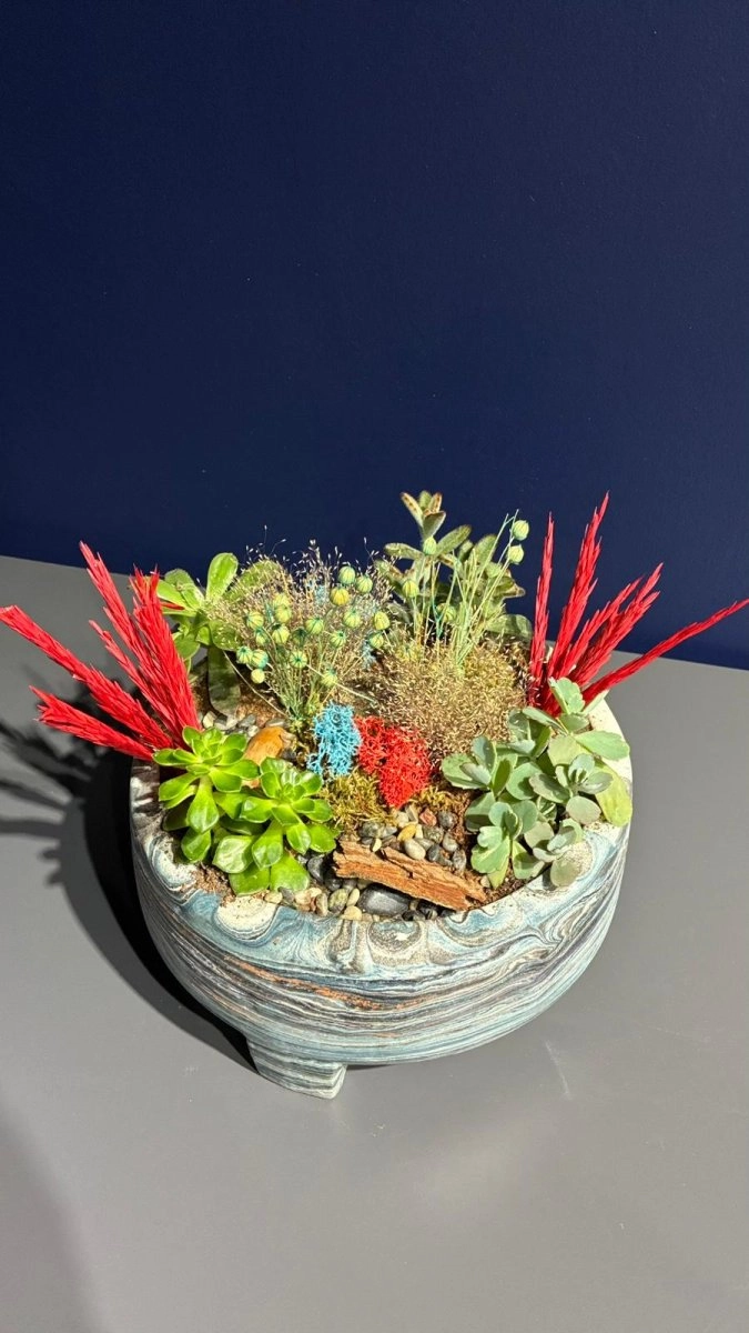 Seramik Saksı İçerisinde Terarrium Aranjmanları 