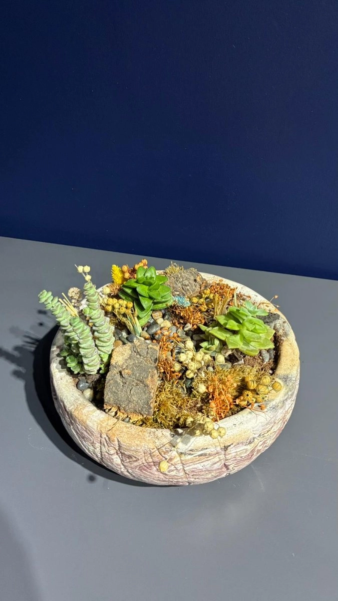 Seramik Saksı İçerisinde Terarrium Aranjmanları 