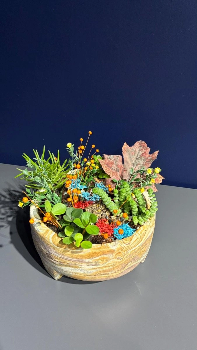 Seramik Saksı İçerisinde Terarrium Aranjmanları 
