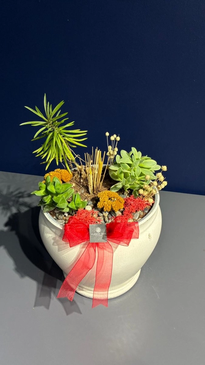 Seramik Saksı İçerisinde Terarrium Aranjmanları 