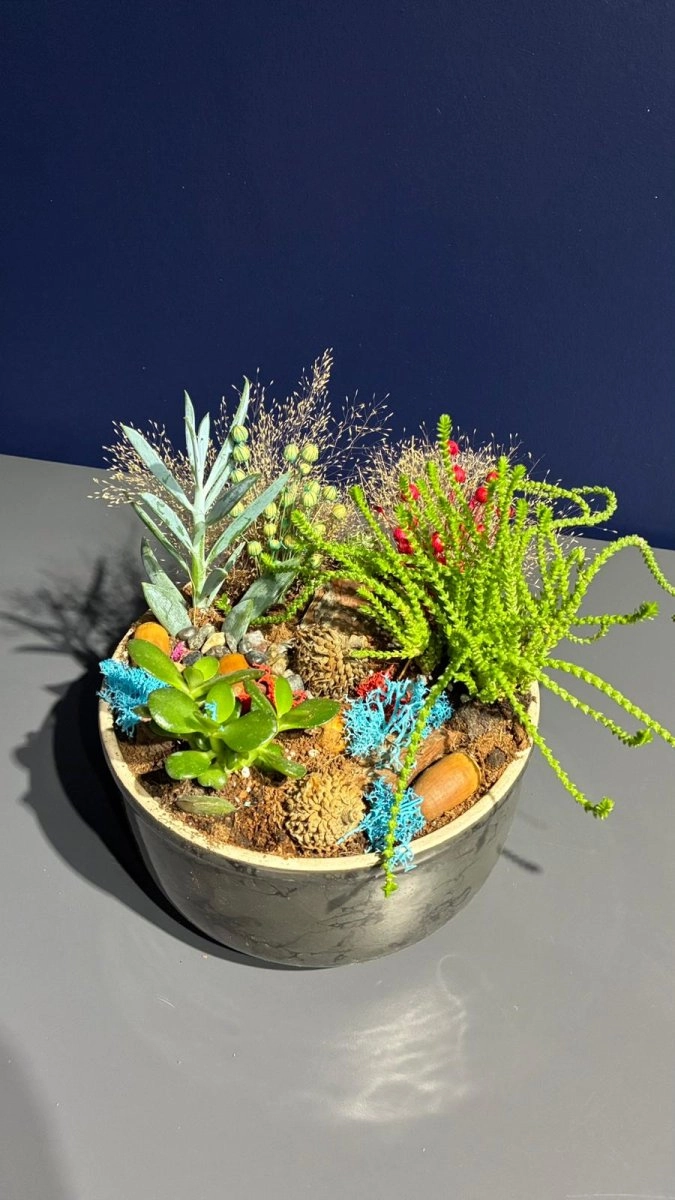 Seramik Saksı İçerisinde Terarrium Aranjmanları 