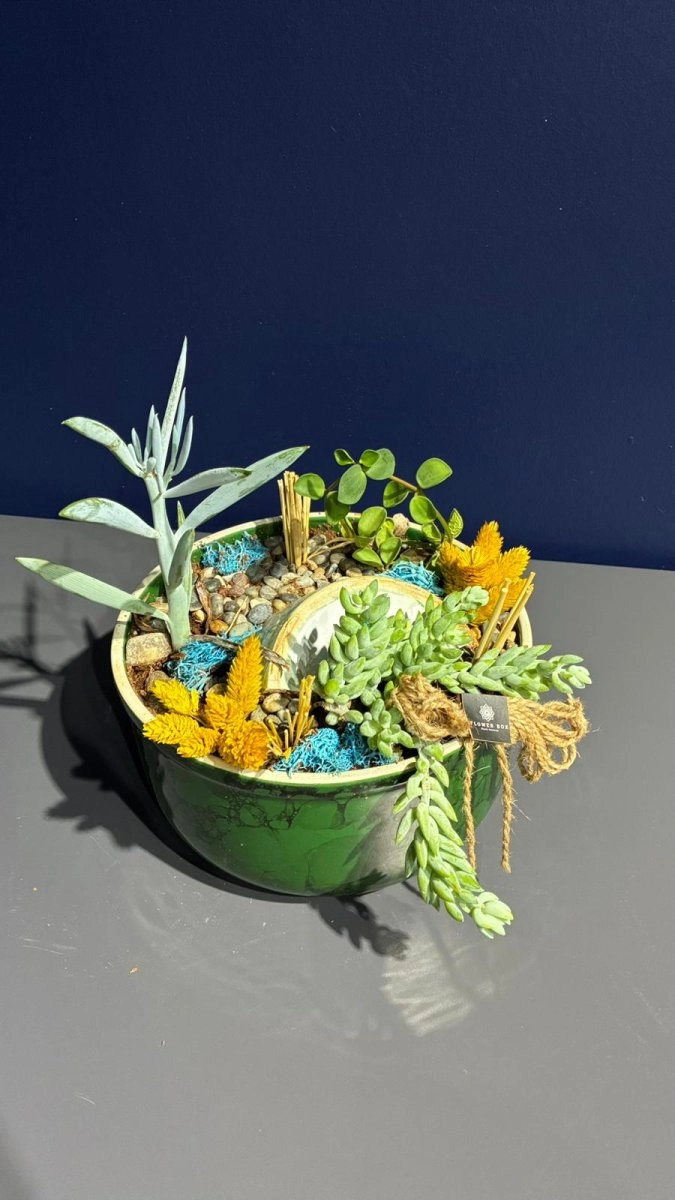 Seramik Saksı İçerisinde Terarrium Aranjmanları 